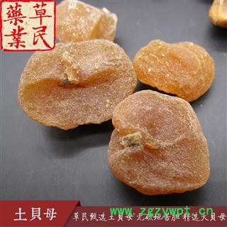 草民甄选土贝母 无硫地苦胆 精选大贝母 干度好 实物如图 专营冷备量大从优图2