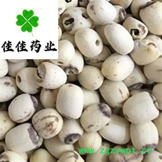 正品白莲子 湖南湖北空心磨莲 选货 产地 湖南省 质量好 新货 无霉变无虫蛀 批发各类中药材图4