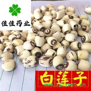 正品白莲子 湖南湖北空心磨莲 选货 产地 湖南省 质量好 新货 无霉变无虫蛀 批发各类中药材图2