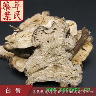 草民甄选3年亳白术 无硫选片 可过检 另有浙白术 专业批发量大从优图4