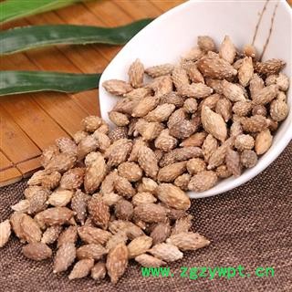 【全场包邮】同信堂中药材批发 苍耳子1000克 产地新货 支持药检图4