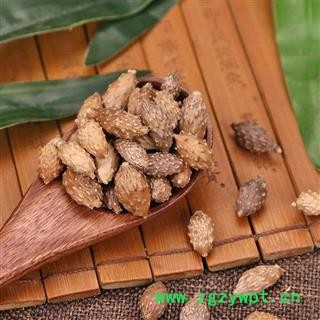 【全场包邮】同信堂中药材批发 苍耳子1000克 产地新货 支持药检图3