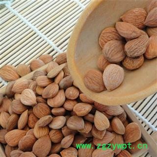 苦杏仁 统 产地 内蒙古自治区 新货正品 批发零售图2