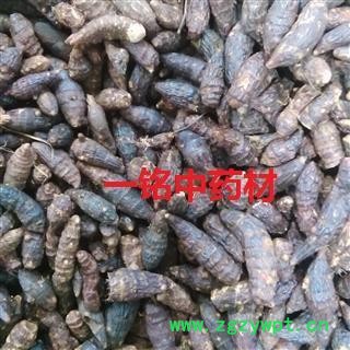 香附 选 产地 广西壮族自治区图2