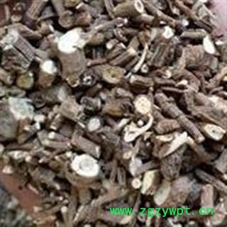 柴胡 山西高含量柴胡 产地 山西省图2