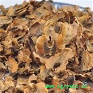 分心木&【国舜堂】核桃皮 产地货源 量大从优 中药材批发供应【分心木】图3