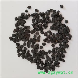 韭菜子&【国舜堂】产地货源 量大从优 中药材批发供应【韭菜子】图4