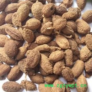 进口壳砂仁选货 圆果 国舜药材 国药品质 扬我中华医药 振兴中医事业  本店全场药材七天无理由退换图3