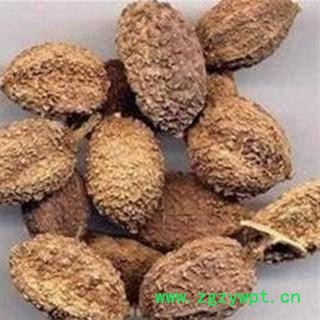 进口壳砂仁选货 圆果 国舜药材 国药品质 扬我中华医药 振兴中医事业  本店全场药材七天无理由退换图2