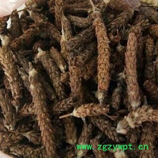 夏枯球统货 产地 河南省图2