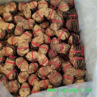 【五年陈皮】@【国舜堂】新会老陈皮 橘子皮 中药材批发供应图3