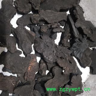 地榆 地榆炭 产地 甘肃省图2