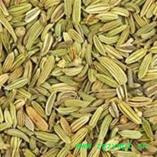 小茴香 统 产地 山西省图2
