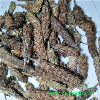 夏枯球 夏枯球净货 产地 河南省图4