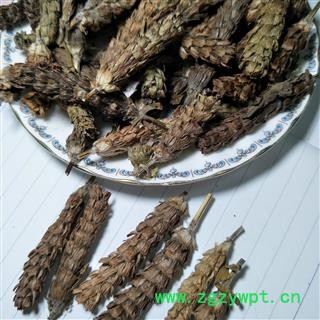 夏枯球 夏枯球净货 产地 河南省图3