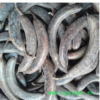 猪牙皂 猪牙皂选个 产地 山东省图4