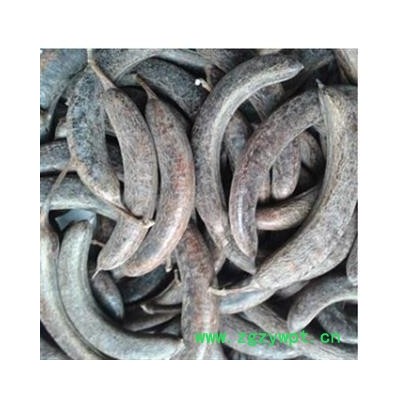 猪牙皂 猪牙皂选个 产地 山东省