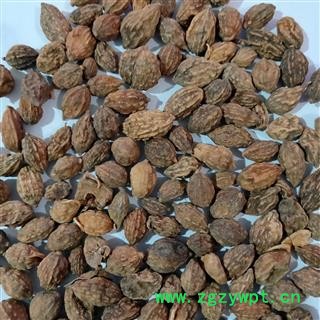 益智 新到正品纯干无硫磺无虫蛀益智仁,干净无杂质实物拍摄 产地 广西壮族自治区图2