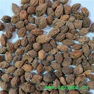 益智 新到正品纯干无硫磺无虫蛀益智仁,干净无杂质实物拍摄 产地 广西壮族自治区图4