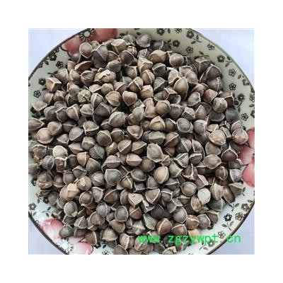 辣木籽 本店新到辣木籽中选货货干无硫磺 产地 海外