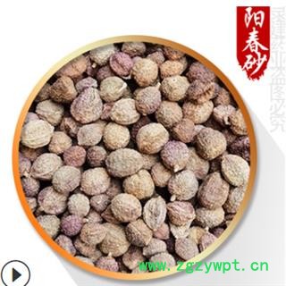 砂仁 阳春壳砂仁炕干选货 产地 广东省图4