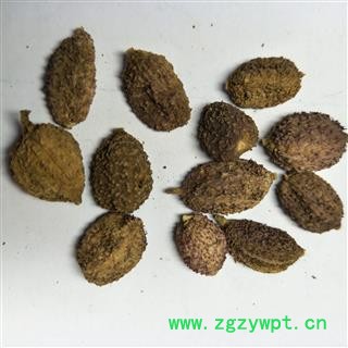 砂仁 阳春壳砂仁炕干选货 产地 广东省图3