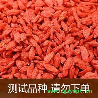 枸杞子 宁夏枸杞280 产地 宁夏回族自治区中卫市中宁县图3