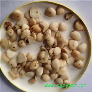 苦杏仁 去皮苦杏仁统 产地 陕西省图2