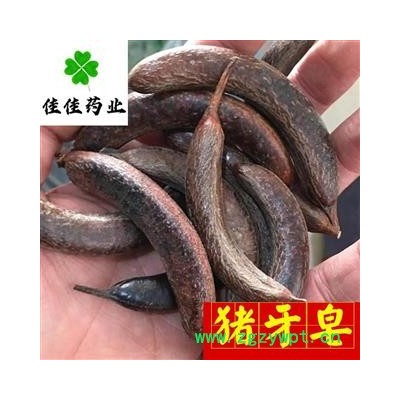 猪牙皂 猪牙皂选个 颜色好 品质保证 产地 山东省