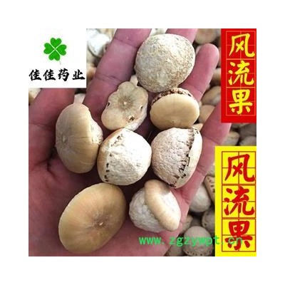 风流果 选 产地 广西壮族自治区 龟头子 壮阳果 供应各种中药材 冷背货 矿石等