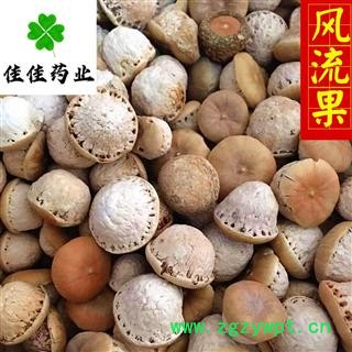 风流果 选 产地 广西壮族自治区 龟头子 壮阳果 供应各种中药材 冷背货 矿石等图3