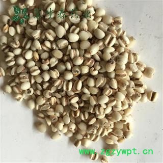 亳州花田错药业新货薏米 98小薏米  贵州货  产地图2