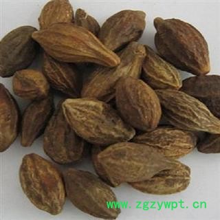 【录建药业】新货柯子1000克 产地直销 重在品质 过筛无杂质 味道浓郁 药劲十足  规格齐全 批发零售抓方打粉图3