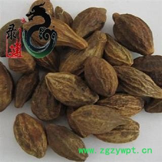 【录建药业】新货柯子1000克 产地直销 重在品质 过筛无杂质 味道浓郁 药劲十足  规格齐全 批发零售抓方打粉图2