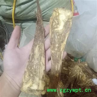 当归 当归无硫佛手片 产地 甘肃省图2