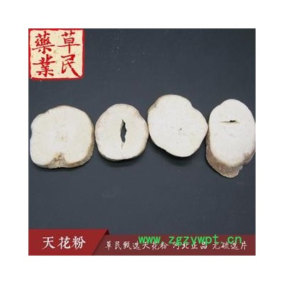 草民甄选天花粉 河北正品 无硫选片 片型均匀 实物如图 专业批发量大从优