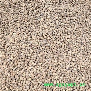 （包邮）特级阳春砂仁图2