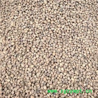 （包邮）特级阳春砂仁图4