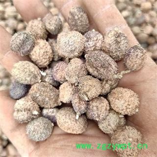 （包邮）特级阳春砂仁图3