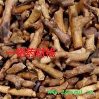 骨碎补 骨碎补 产地 广西壮族自治区图2