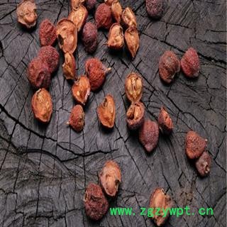 秦岭纯正野生山楂干山楂片山楂泡茶野生山楂500g中药材山楂粉无硫图4