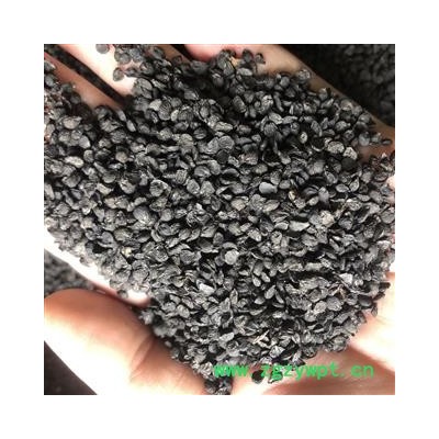 韭菜子 韭菜子统货 产地 山东省  小影全品类中药材店铺