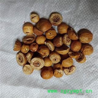 川楝子 统货 产地 四川省 小影全品类中药材店铺图2