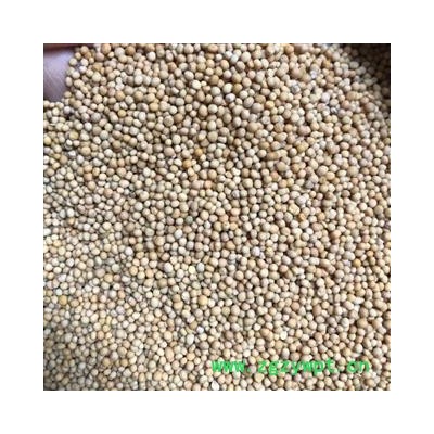 白芥子 优质 正品 统货 产地 四川省 小影全品类中药材店铺