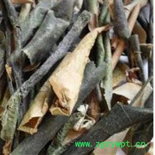 冬瓜皮 统 产地 山东省图2