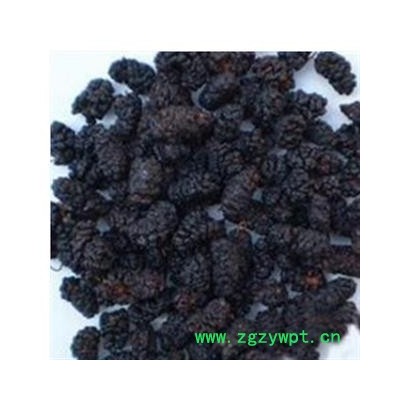 桑葚子 桑椹净货 产地 四川省