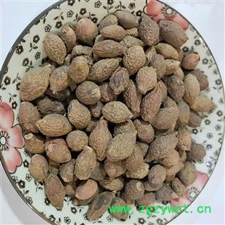 胖大海 胖大海圆粒统货保证个个都能泡段开实物拍摄盗图必究产地 广西壮族自治区图2