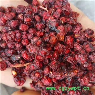 五味子 五味子统货 产地 辽宁省图2