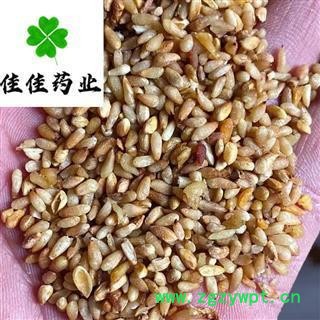 柏子仁 好统货 产地直销 供应各种中药材 产地 山东省图2