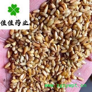 柏子仁 好统货 产地直销 供应各种中药材 产地 山东省图4